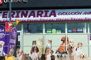 Clinica Veterinaria Larrain – La Serena