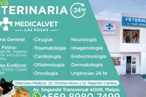Clínica Veterinaria Medical Vet