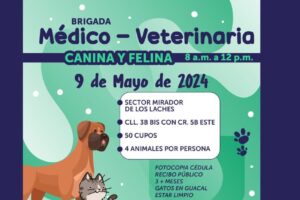 Clínica veterinaria Mirador de Mascotas