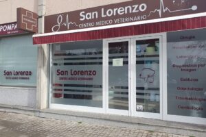 Clínica Veterinaria San Lorenzo