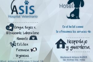 Clinica y farmacia veterinaria Asis