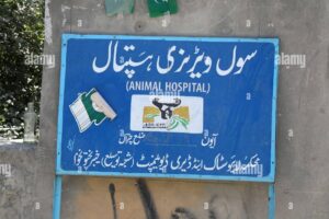 Hospital Veterinario Ayun Vet