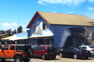 mejores veterinarias en Región de Ñuble Chile