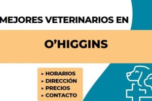 mejores veterinarias en Región del Libertador General Bernardo O’Higgins Chile