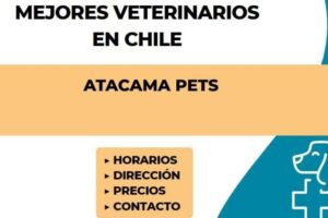 Posta Veterinaria Leonidas Pérez