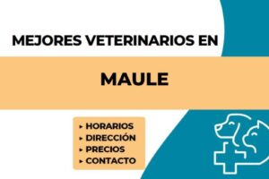 mejores veterinarias en Región del Maule Chile