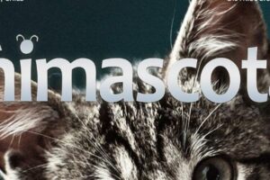 Veterinaria Gaticanes