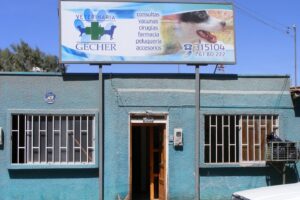 Veterinaria Gecher