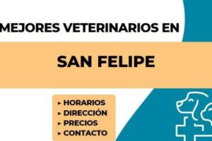 Aconcaguavet Clínica Veterinaria