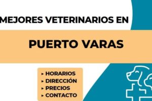 Asevet Clinica Veterinaria y Control de Plagas