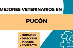 BIOPUCON, Servicios veterinarios y Agrícolas