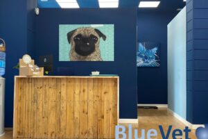 Bluevet Veterinaria y Laboratorio Clínico