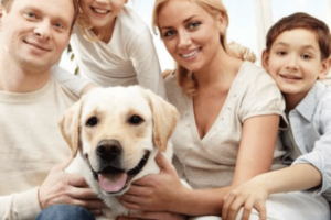 CANCAN PETS | Clínica Veterinaria, Peluquería Canina, Alimento premium mascotas, accesorios, medicamentos.