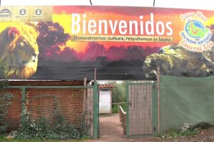 Casa Noé Mundo Animal