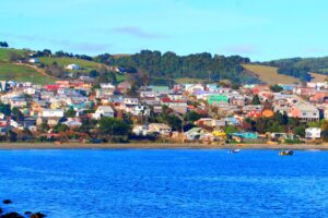 CENTRAL VETERINARIA DE ANCUD