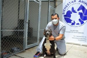 Centro Atención Primaria Animal