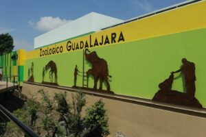 Centro Integral De Medicina Animal