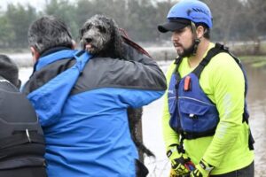 Centro Veterinario Aitue