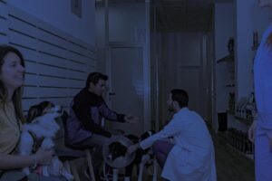 Centro Veterinario Alivet