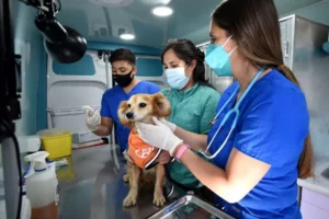 Centro Veterinario Araucanía