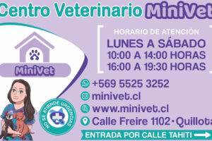 Centro veterinario Minivet