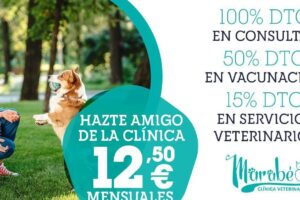 Clínica Veterinaria Amigo Animal