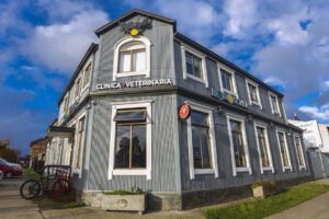 Clinica Veterinaria Boroschek