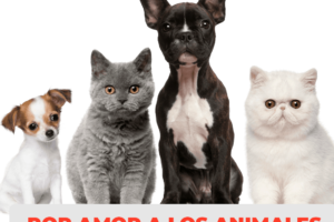 Clínica Veterinaria Centenario