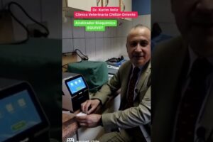 Clínica Veterinaria Chillán Oriente