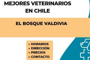 Clínica Veterinaria El Bosque Valdivia