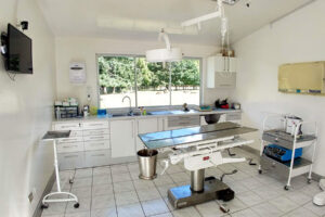 Clínica Veterinaria Freire Sur