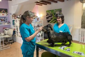 Clínica veterinaria Homyvet