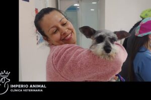 Clínica veterinaria imperio animal