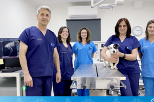 Clinica Veterinaria Los Lagos