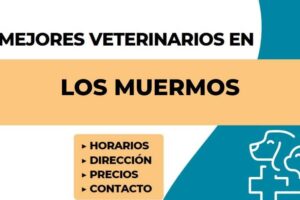 Clinica Veterinaria Los ulmos