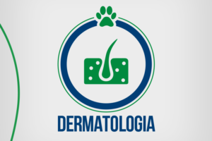 Clínica Veterinaria MUNDO ANIMAL OSORNO