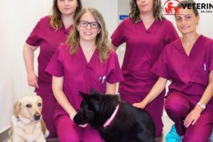 Clínica Veterinaria Pehuen Osorno