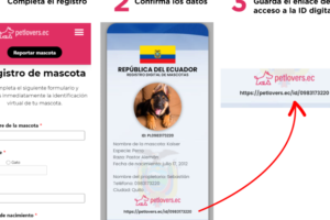 Clínica veterinaria PetLovers Nacimiento