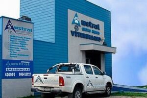 Clínica Veterinaria Puerto Montt