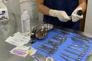 Clinica Veterinaria Rey Conan