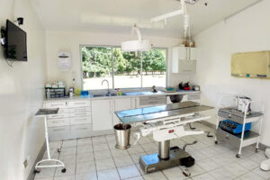 Clinica Veterinaria Temuco