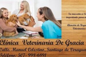 Clínica Veterinaria Todos Los Santos