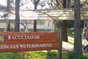 Clínica Veterinaria UdeC Chillán