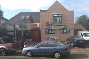 Clínica Veterinaria Valdivia