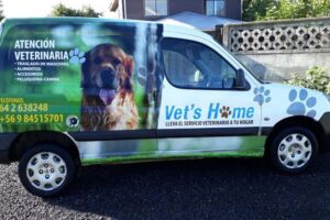Clinica Veterinaria Vet´s Home