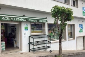 Clínica Veterinaria Vidal Vet