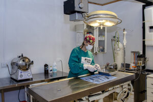 Clinica Veterinaria Wegmann