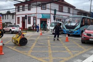 Clinica y Farmacia Veterinaria Caupolican