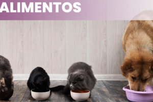 Comercial Aliagro, San Fernando