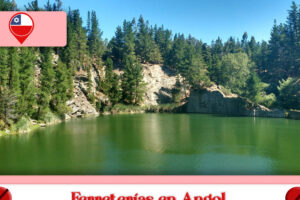 Ferreteria y Veterinaria Austral